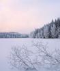 Описание зимней природы - особенности и интересные факты